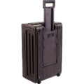 SKB Cases 1SKB19-RSF2U攜帶式滾輪拉柄機架（2U）